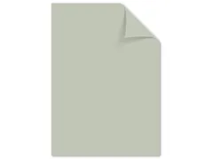 Papier Kangaro A4 80grs pastel grijs pak 100 vel
