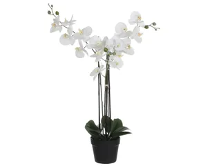 Kunstplant Mica Phalaenopsis orchidee wit in plastic pot 79x51cm - 1