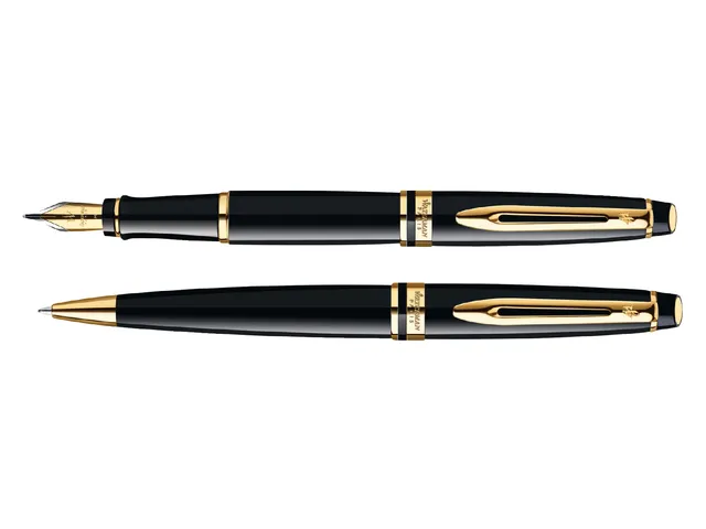 Stylo Bille Waterman Expert Noir GT pointe moyenne