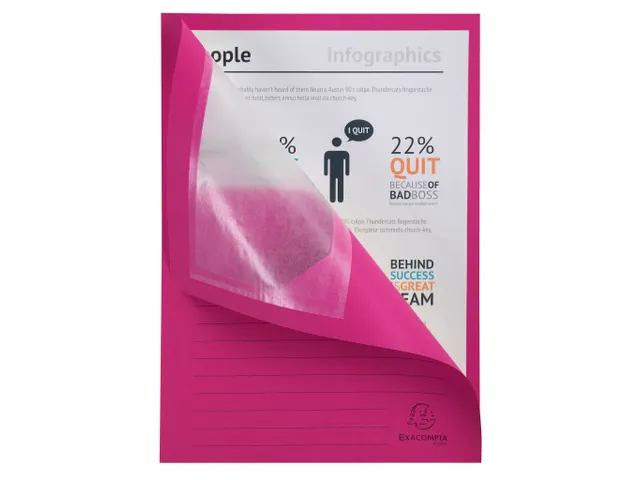 50 Venstermappen Forever 22x31cm Assorti