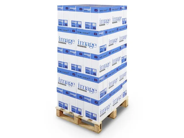 Kopieerpapier Image Business A4 80 Gram Wit Pallet
