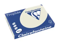 Trophée Pastel A3 80g 500 vel parelgrijs