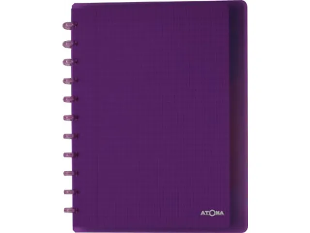 Trendy schrift A4+ 120 blad commercieel geruit assorti