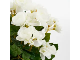 Kunstplant Mica Begonia wit in pot Stan grijs 25x30cm - 2