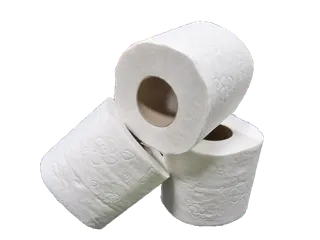 Toiletpapier Traditioneel Cellulose 2-laags 200 Vel 48 Rol Wit - 1