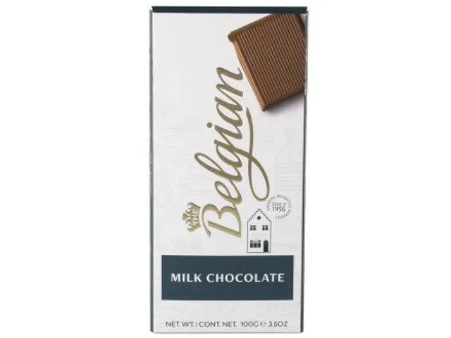 Chocolat The Belgian lait barre 100g
