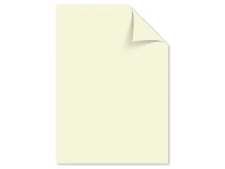 Papier Kangaro A4 160grs ivoorwit pak 250 vel - 1