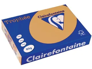Trophée Pastel gekleurd papier A4 80 gram 500vel Caramel bruin - 1