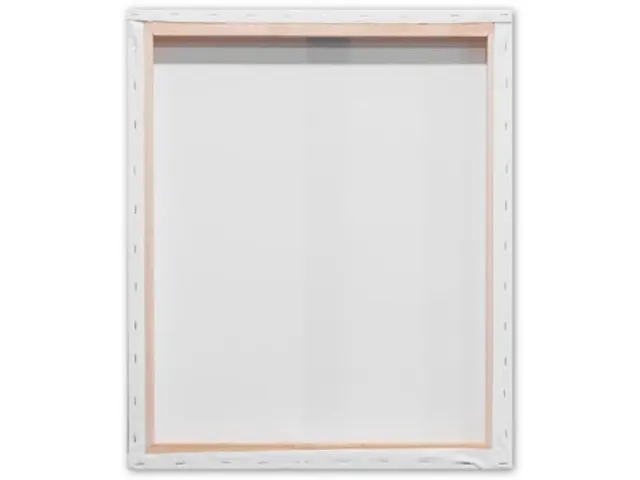 bespannen spieraam 3D 50 x 60 cm set van 2 stuks