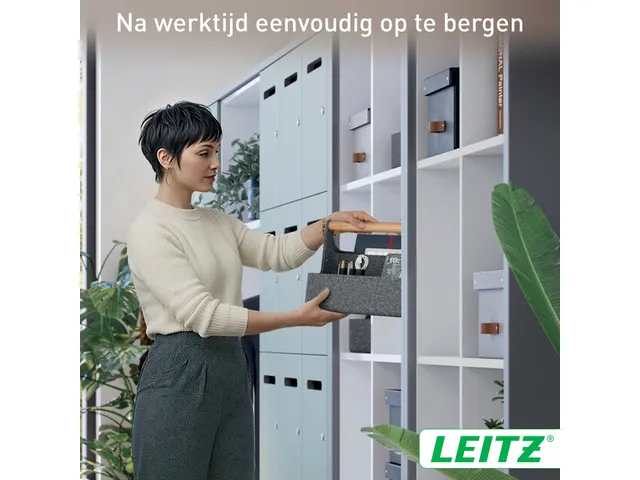 Bureau organizer Leitz draagbaar donkergrijs
