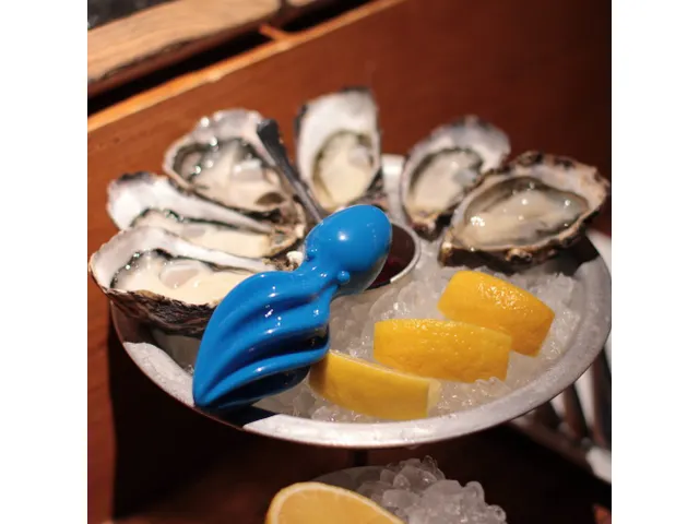 Polymaker 3D filament PolySmooth PVB 1.75mm Blauw 0.75kg