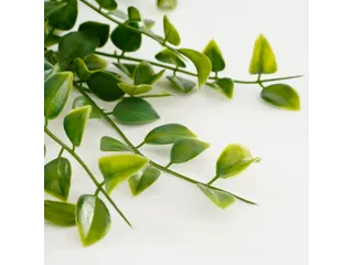 Kunstplant Mica Ficus hangend in pot groen 20x46cm - 8