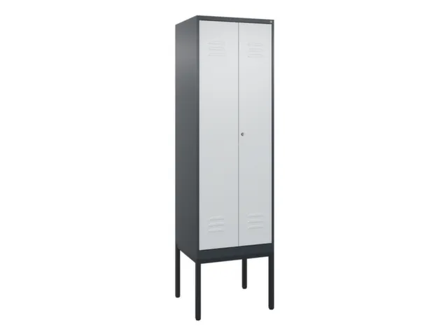 locker voor scheiding van kleding,HxBxD 2120x600x500mm,2vak