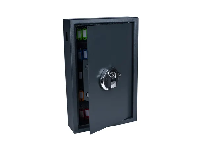 Sleutelkast Pavo high security fingerprintslot 50 haken 550x400x100mm