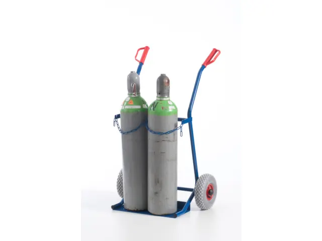 Diable Pour Bouteilles Force 100 kg 2bouteilles De 20 l Bandage Pneu