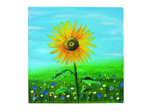 Schildersdoek Qrea Studio 60x80cm