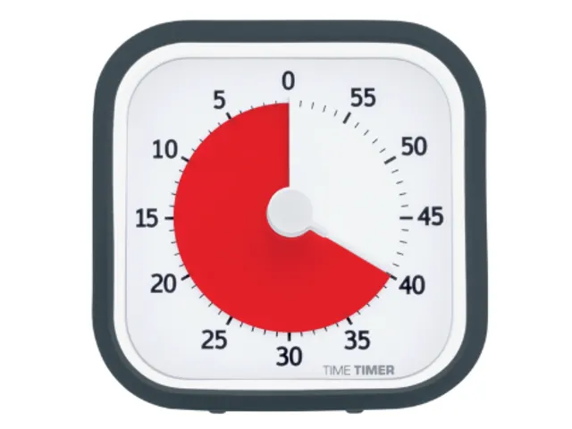 Time Timer MOD home