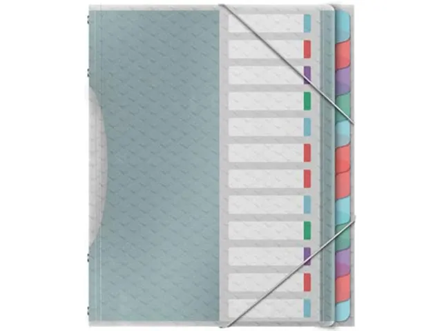 Colour'Breeze sorteermap PP A4 12 tabs assorti