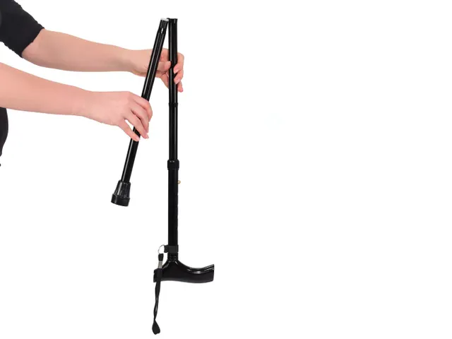 Wandelstok Opvouwbaar Zwart