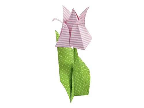 Vouwblaadjes Folia 80gr 20x20cm 50 vel 2-zijdig 10 basics designs