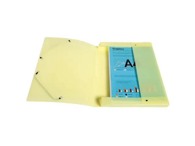 Boite de classement Exabox Dos 25mm Polypropylène 7/10e Chromaline pa