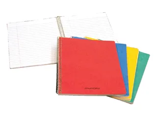 Schrift Aurora 210x165mm lijn 120 pagina's 80gr assorti - 1