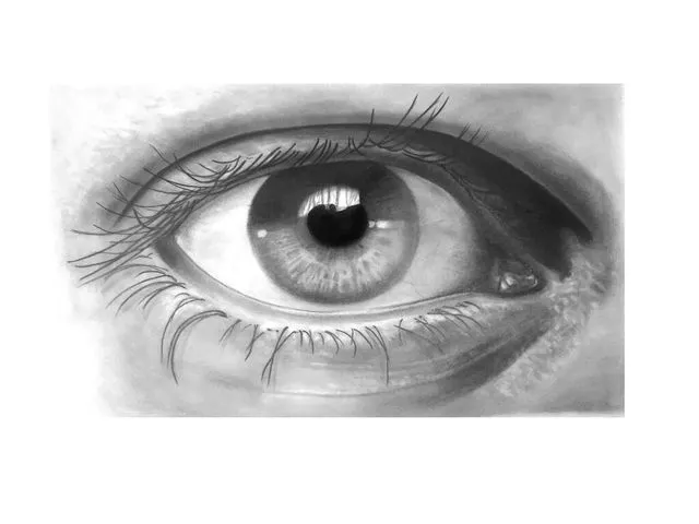 Crayon Faber-Castell Goldfaber HB avec gomme