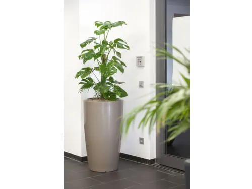 plantenzuil,rond,PE,beigegrijs,HxØ 1100x620mm,80l