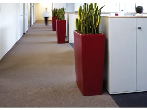 plantenpot,trapeziumvormig,PE,robijnrood,HxBxD 900x900x390mm,55l