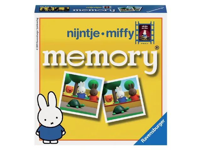 Spel Nijntje mini-memory De film