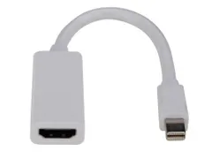 Mini Displayport Naar Hdmi Adapter - 17cm - m/V