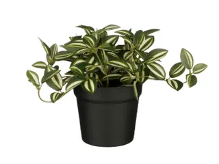 Kunstplant Mica Tradescantia in pot groen 16x16cm - 1