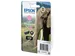 Singlepack Light Magenta 24XL Claria Photo HD Ink