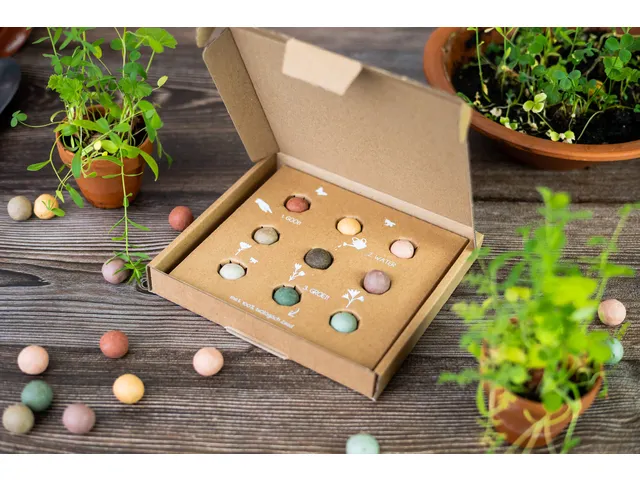 Giftbox Blossombs box à 9 zaadbommetjes