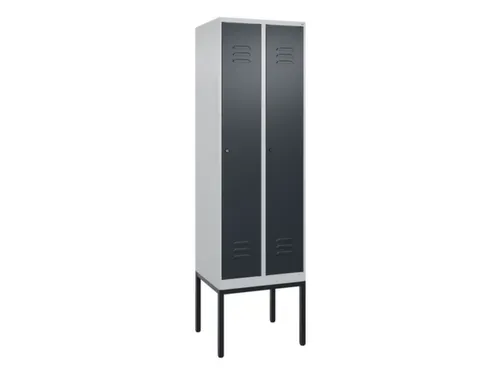 locker voor scheiding van kleding,HxBxD 2120x600x500mm,2vak