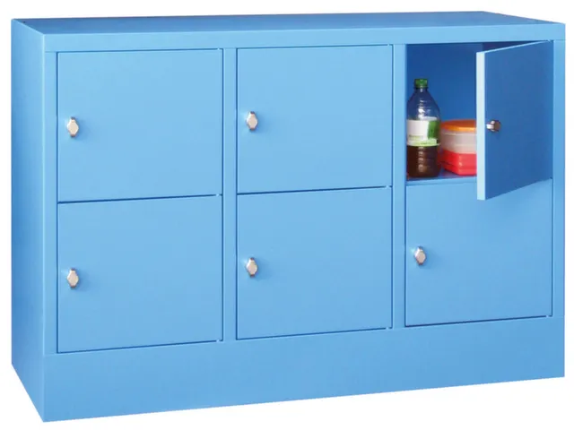 lockerkast,HxBxD 855x1200x500mm,3x2vakken,RAL7035,front RAL6011