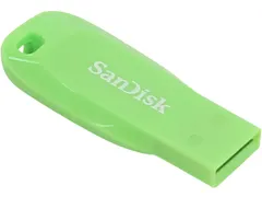 SanDisk Cruzer Blade 32 GB USB flash drive USB Groen
