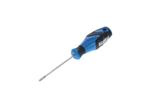 2163 Schroevendraaier TX T15 3C