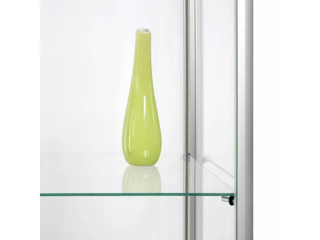 Vitrine d'exposition en verre Double porte 80x40x200cm