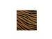 Feest servetten Papier Tiger Safari 16x16cm 8 stuks