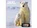 Multipack 4-colours 26XL EasyMail