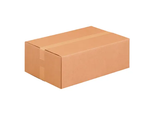 Amerikaanse Vouwdoos Dubbelgolf 585x385x170mm 15 Stuks