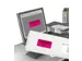 Etiket Avery L7363P-25 99.1x38.1mm Neon Roze 350 Stuks
