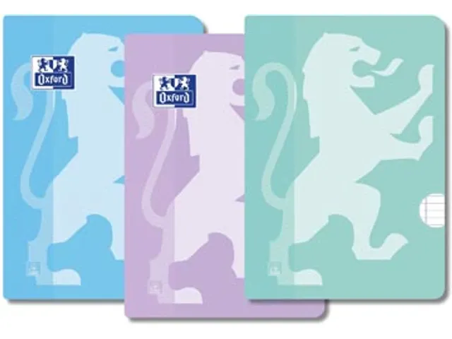 Oxford School schrift A4 72 bladzijden met kantlijn gelijnd, assorti 3