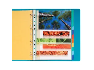 Tabbladen glanskarton 225g 12-delig A4 maxi Assorti - 3