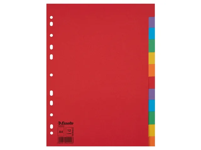 Tabblad Esselte A4 11-Gaats Karton 12-Delig Zonder Voorblad