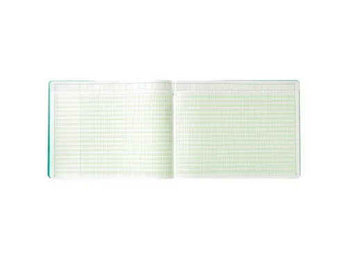 Piqure 29,7x38 uitg hoofd32 kol 80bl