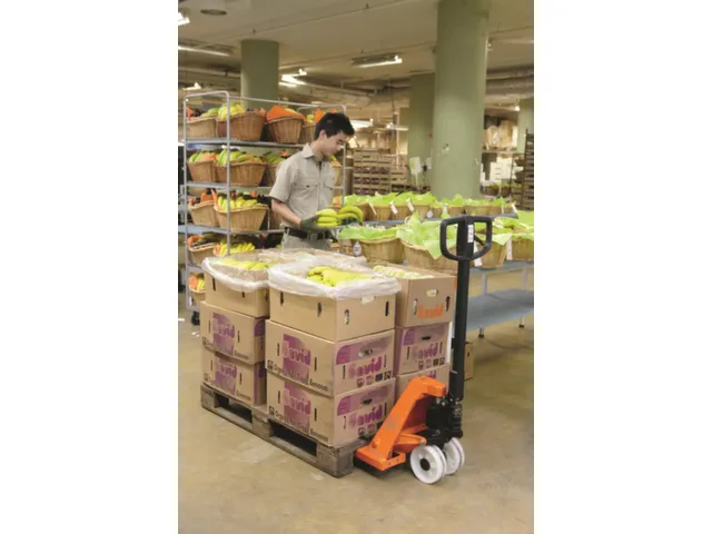 pallethefwagen,draagverm. 2300kg,vork L 1150mm,zwenkwielen nylon