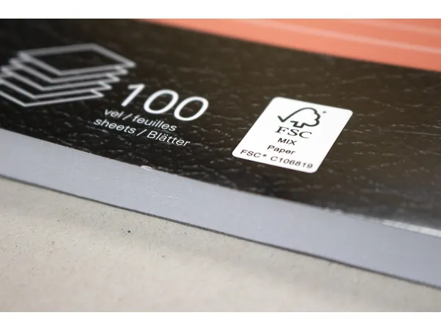 Cursusblok Kangaro A4 lijn 8mm 90 grams 100 vel