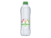 Water Chaudfontaine fusion framb/lime PET 500ml